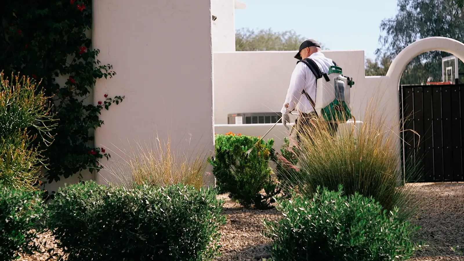 Here's why our Integrated Pest Management approach works