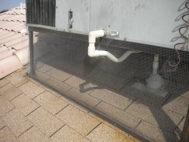 Pigeon netting installed along a roofline