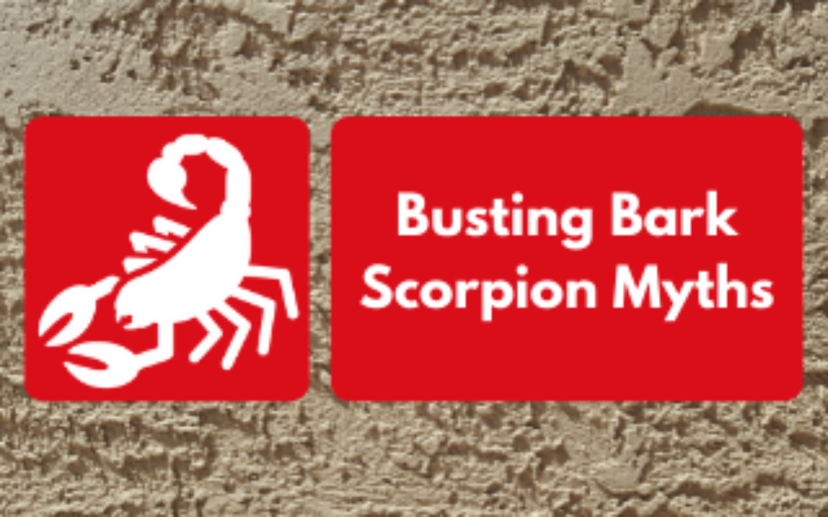 Scorpion myths and facts